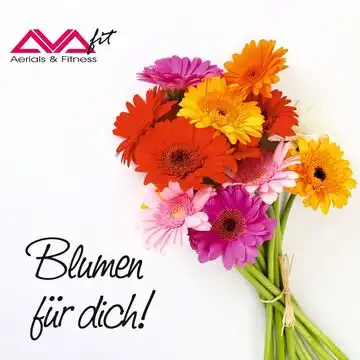 Avafit Studio zieht um