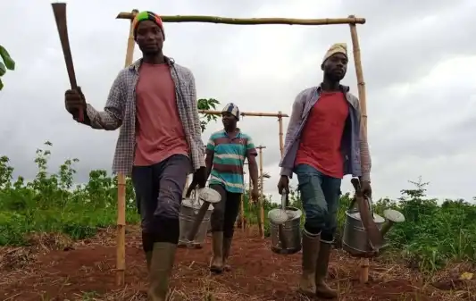 Boden für Agrarökologie