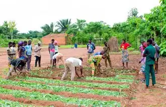 Boden für Agrarökologie