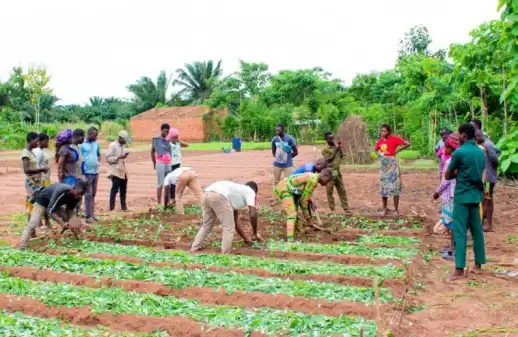 Boden für Agrarökologie