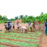 Boden für Agrarökologie