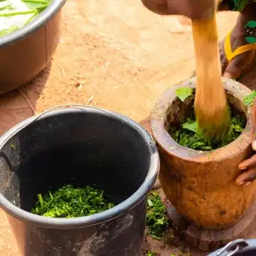 Boden für Agrarökologie