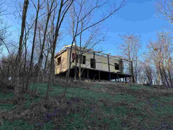 Vegan Forest Retreat