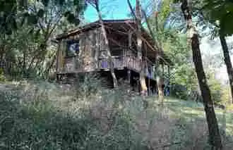 Vegan Forest Retreat