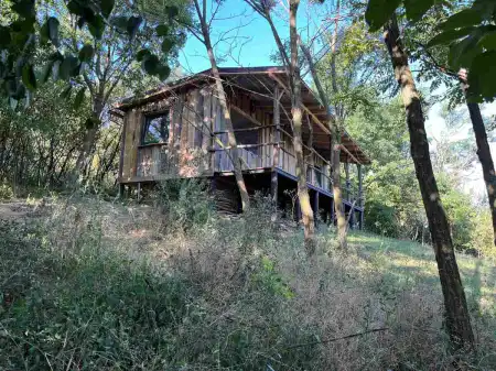 Vegan Forest Retreat
