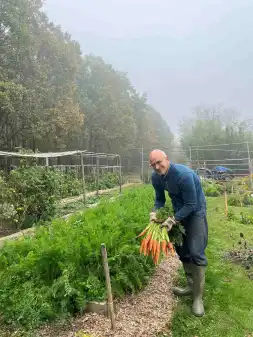 Vegan Forest Retreat