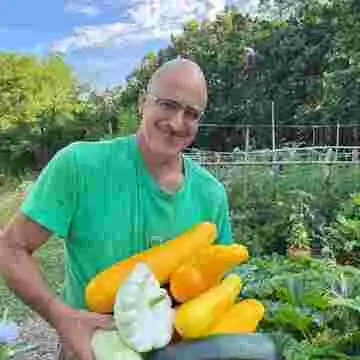 Vegan Forest Retreat