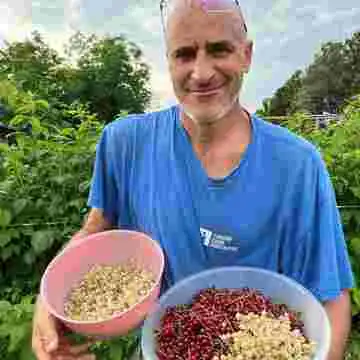 Vegan Forest Retreat