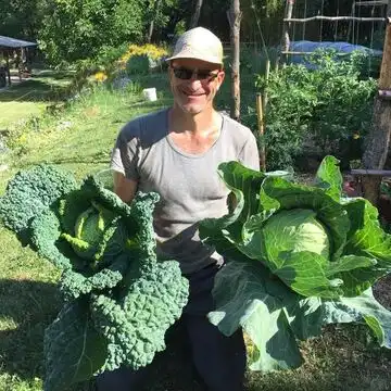 Vegan Forest Retreat