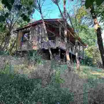 Vegan Forest Retreat