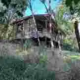 Vegan Forest Retreat