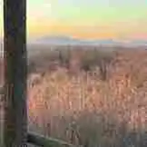 Vegan Forest Retreat