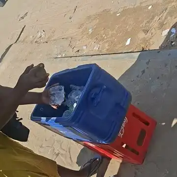 Solar Chill Box