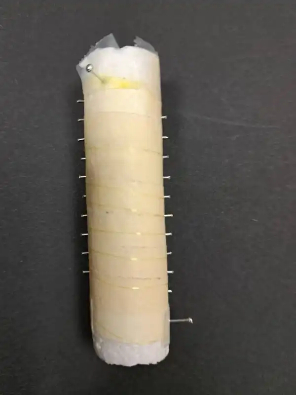 Spider silk nerve repair