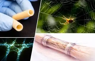Spider silk nerve repair