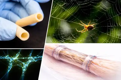 Spider silk nerve repair