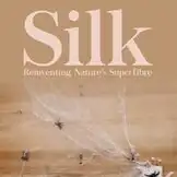 Spider silk nerve repair