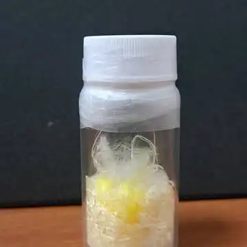 Spider silk nerve repair