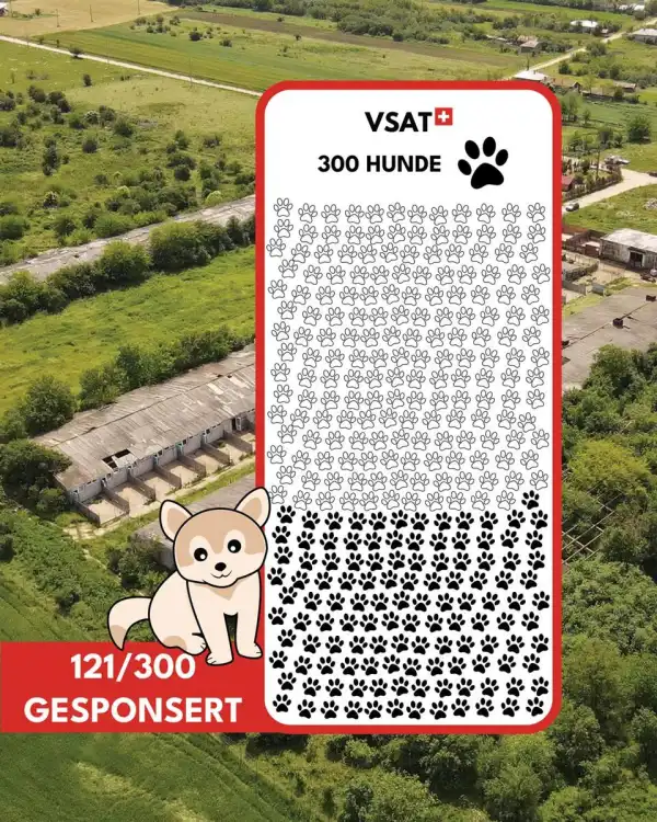 Wir haben es schon weit geschafft!! 