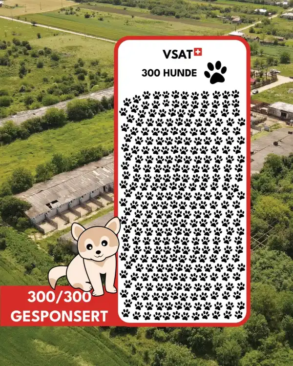🤩🤩 Wir haben die erste Etappe geschafft! 🤩🤩