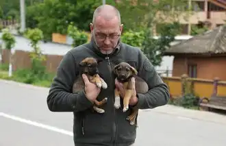 300 Hunde brauchen Hilfe!