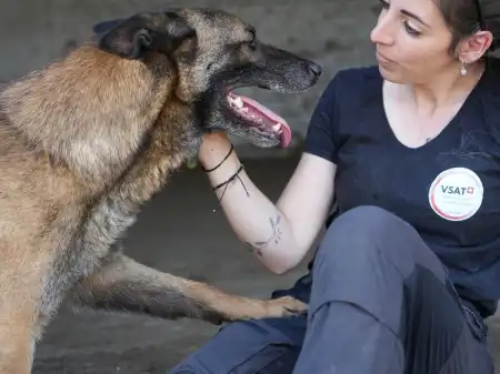 300 Hunde brauchen Hilfe!