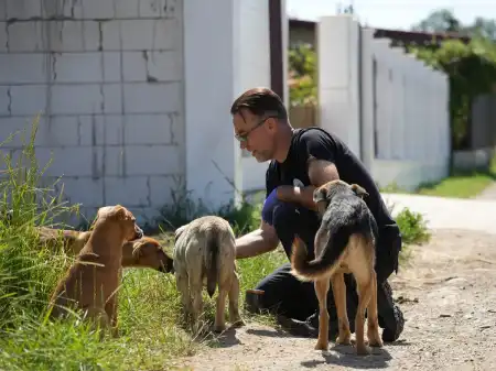 300 Hunde brauchen Hilfe!