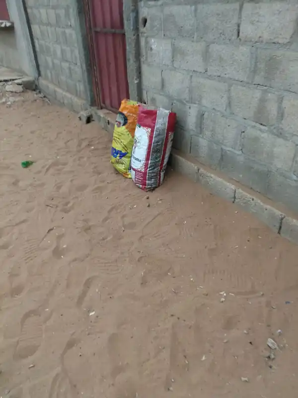 PEGADAVERDE - Grüne Zukun