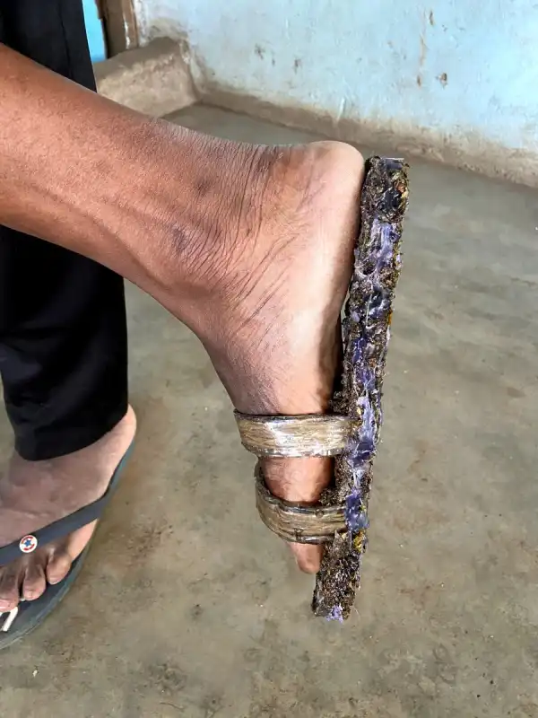 PEGADAVERDE - Grüne Zukun