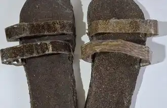 PEGADAVERDE - Grüne Zukun