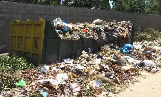 PEGADAVERDE - Grüne Zukun