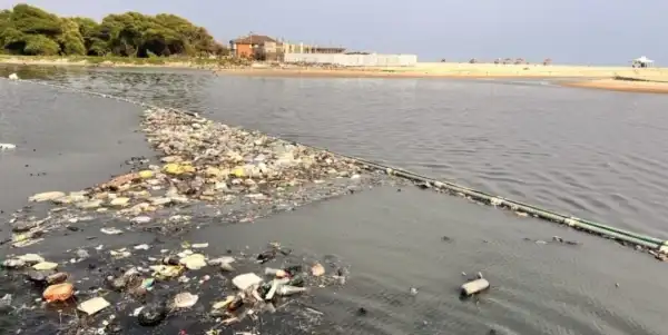 PEGADAVERDE - Grüne Zukun