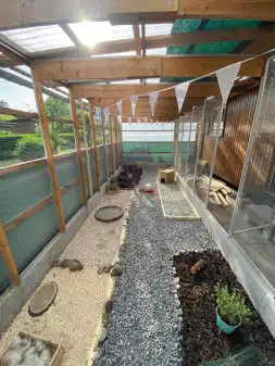 Herz für Wachteln Teil2🐣