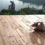 L'Appel du lac