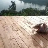 L'Appel du lac