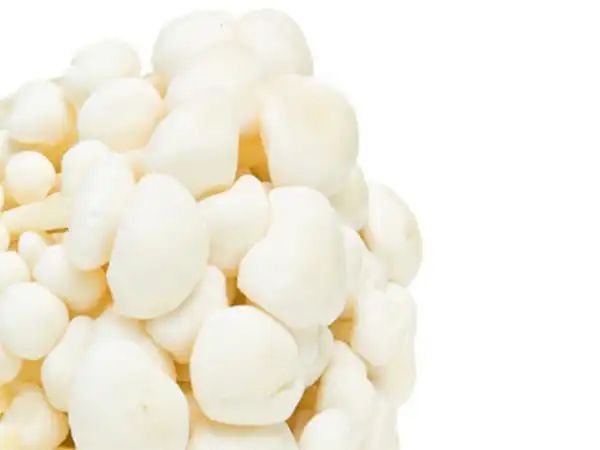 Neu mit dabei: Der Enokipilz