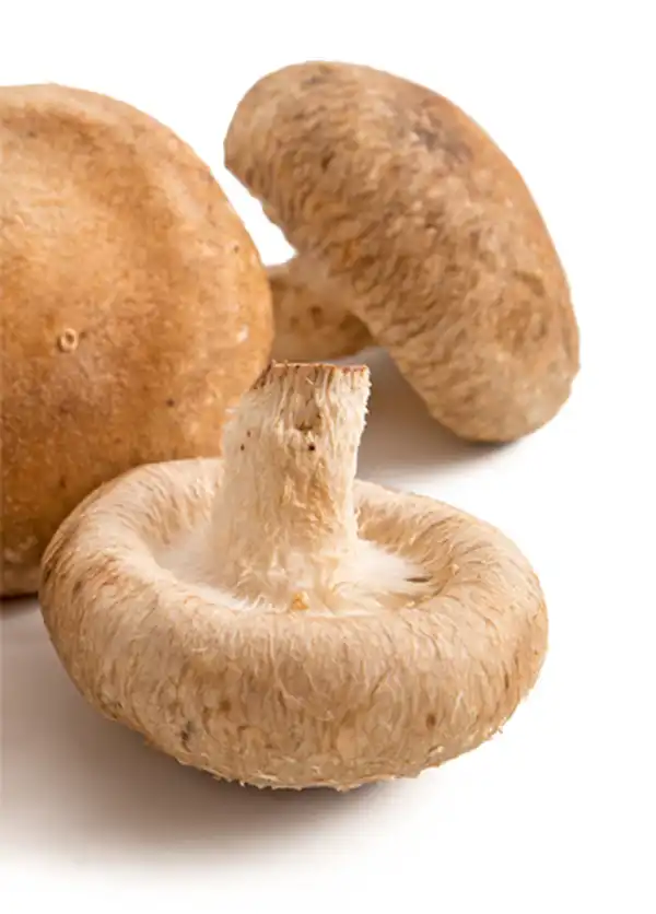 Buchpublikation und Verwendung der Spende