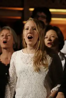 Konzerte "Some Nights"