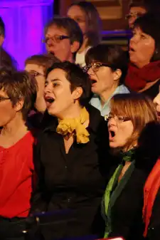 Konzerte "Some Nights"