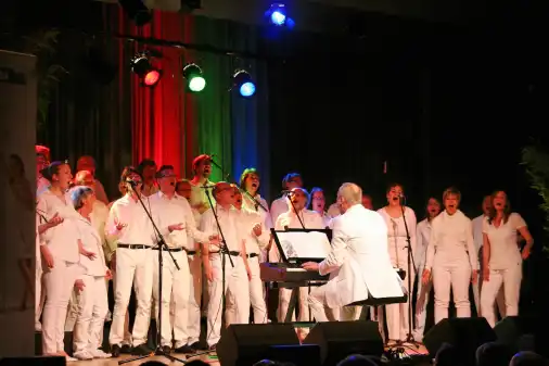 Konzerte "Some Nights"