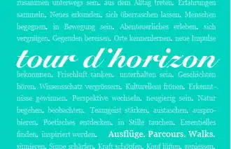 tour d'horizon