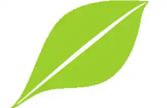 Plakat Kantonsratswahlen