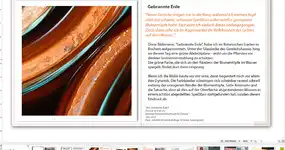 A beautiful photo book