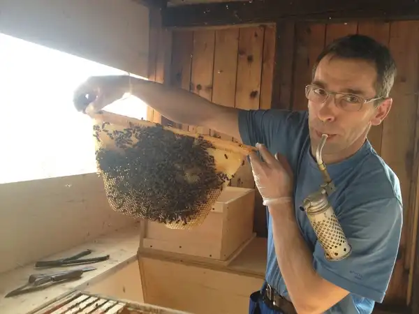 Auch die Bienen spüren den nahenden Frühling.