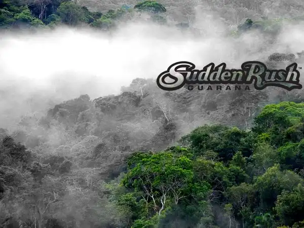 Wach bleiben am 24thinkpark!