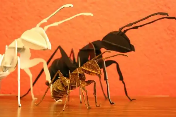 LIBELLE | Ein 3-D Puzzle