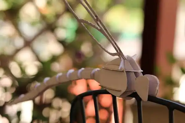 So wird's funktionieren!