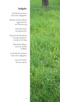 Das Licht in den Bäumen