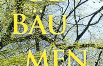 Das Licht in den Bäumen