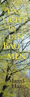 Das Licht in den Bäumen